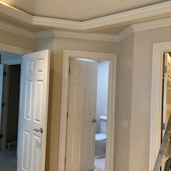 Our Work