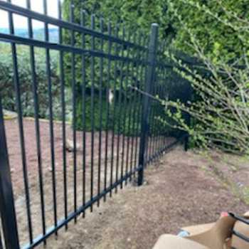 Our Work