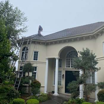 Our Work